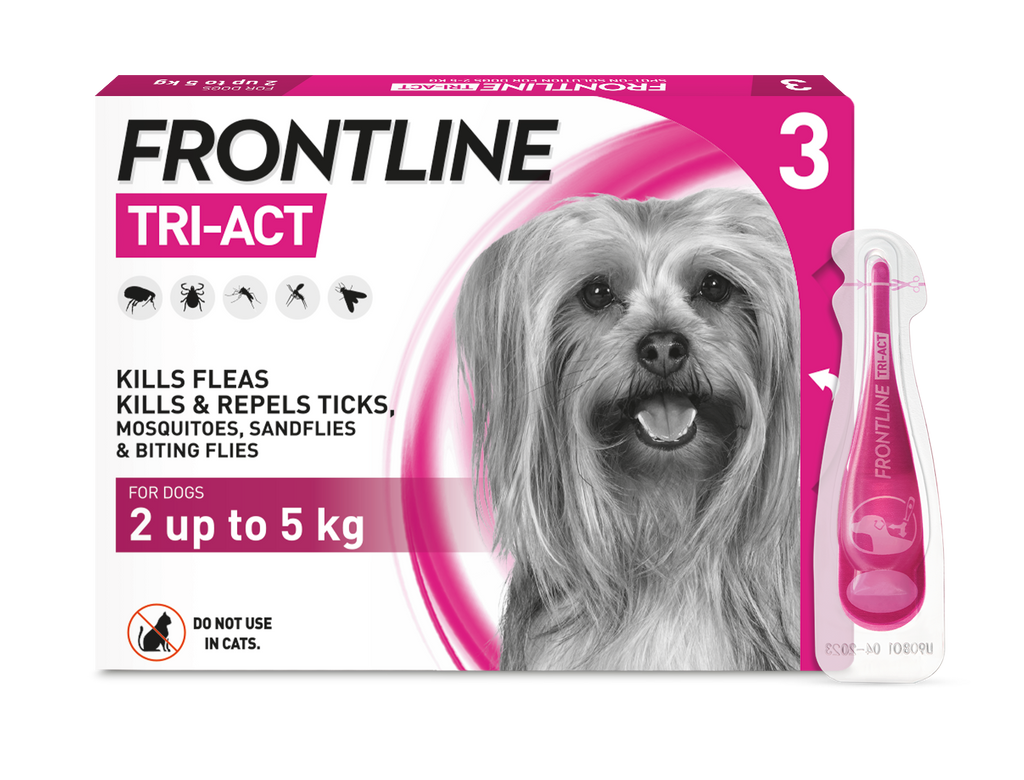 Frontline 2024 flea medication