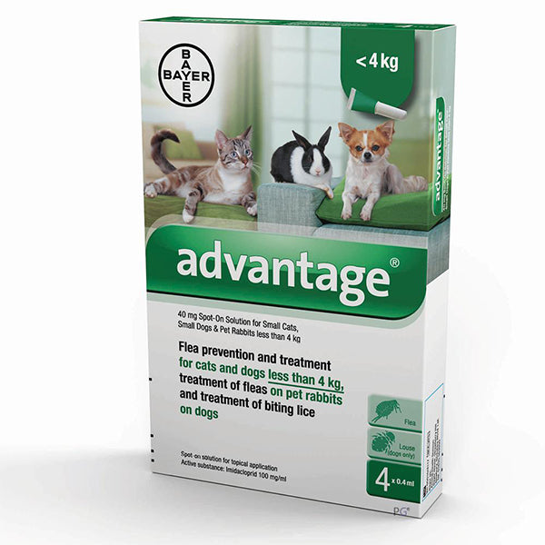 Advantage spot on top flea treatment for cats