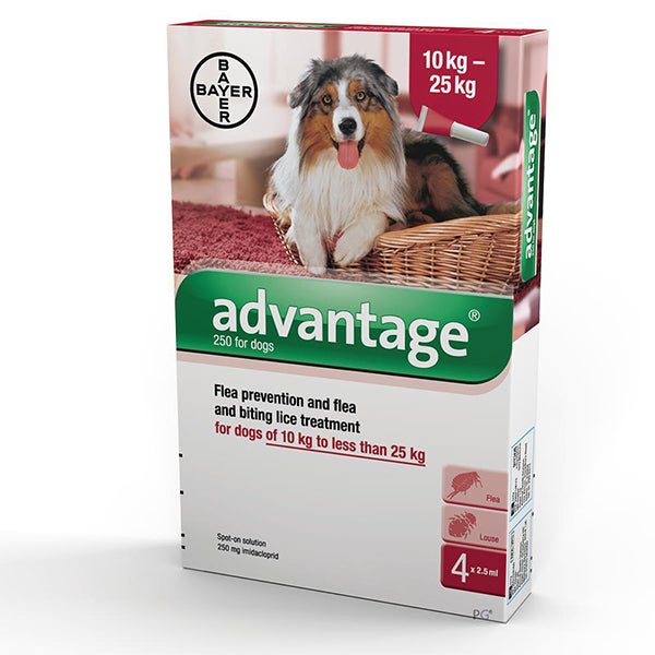 Advantage new arrivals dog flea
