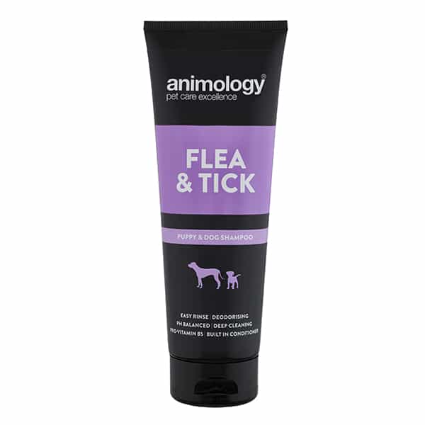 Animology Flea & Tick Shampoo (250ml) at Petremedies