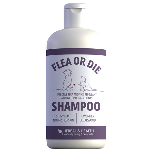 Hebal & Health Flea Or Die (250ml) shampoo dog at Petremedies