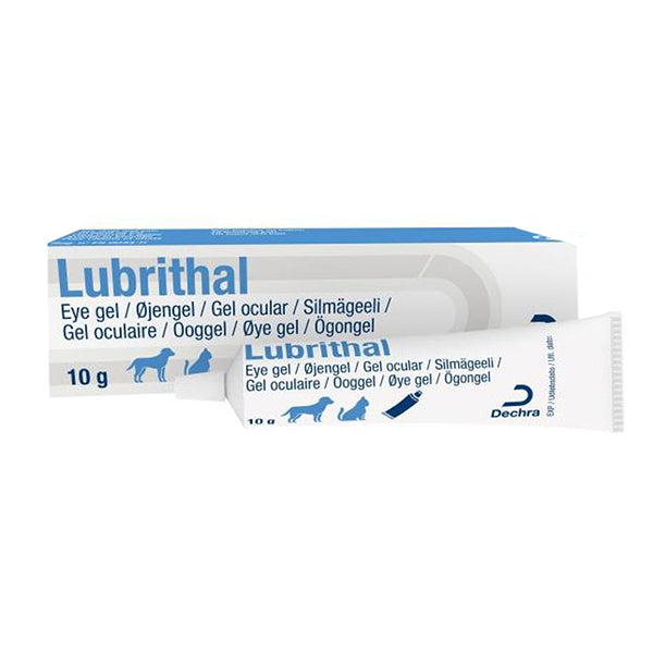 Lubrithal Ophthalmic Gel (10g) at Petremedies