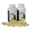 VetPlus Colaid Digestion Support (90caps) at Petremedies