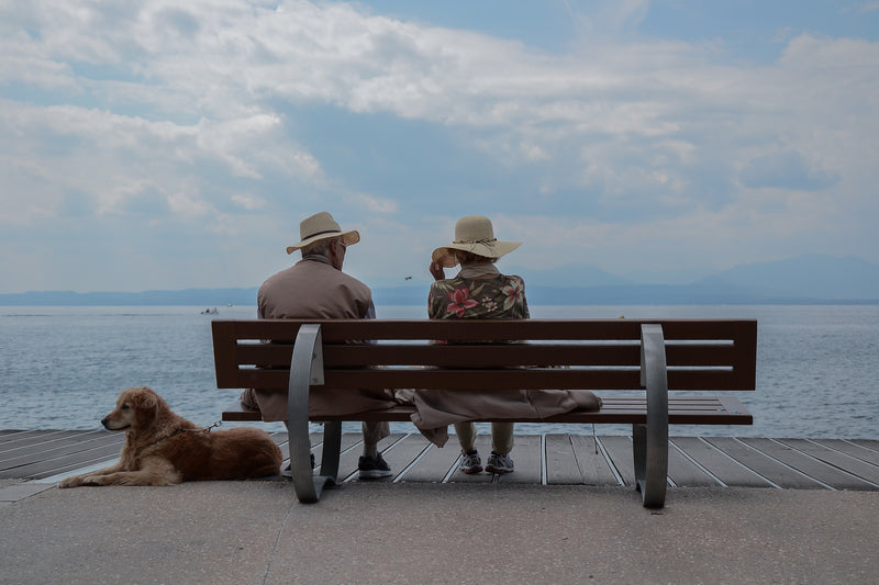 We’re ALL Going on a Summer Holiday