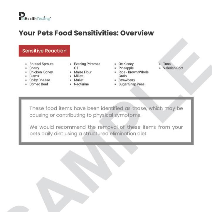 Dog Food-Sensitivity Test