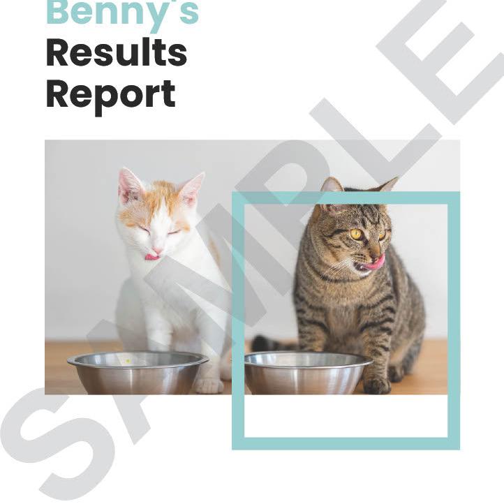 Cat Food-Sensitivity Test