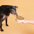 Calibra Dog Life Adult Medium Breed 10-30Kg (Chicken)