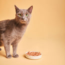 Calibra Veterinary Diet Cat Gastrointestinal 6x200g Can