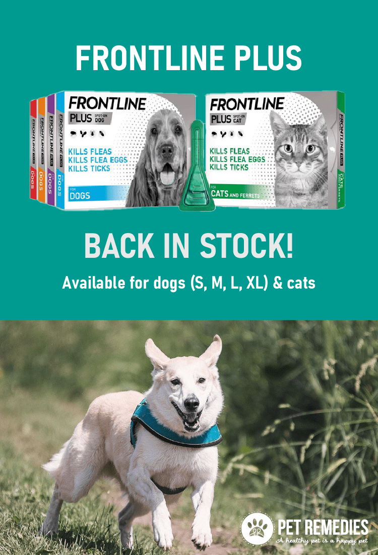 Frontline Plus back in stock - flea and tick treatment for cats and dogs