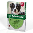 Advantage Lrg Dog (10-25kg) 250 4pk