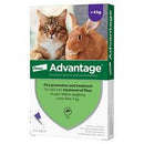 Advantage Large Cat-Rabbit (over 4kg) 80 4pk
