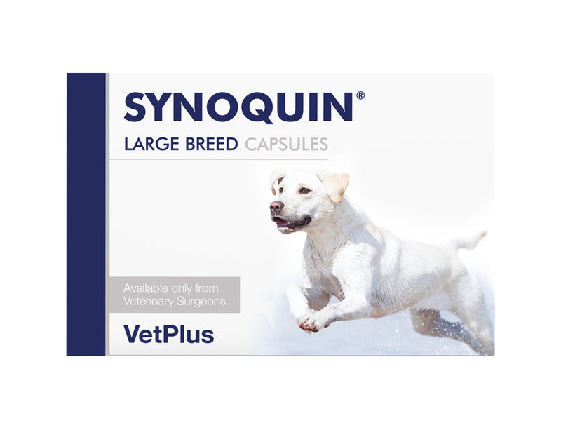 VetPlus Synoquin Capsule Large Breed  (120pk)