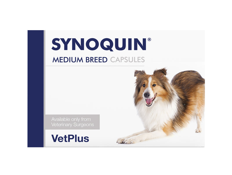 VetPlus Synoquin Capsules Medium Breed Blister