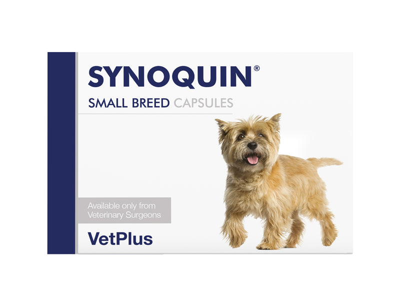 VetPlus Synoquin Capsules Small Breed Blister 30pk