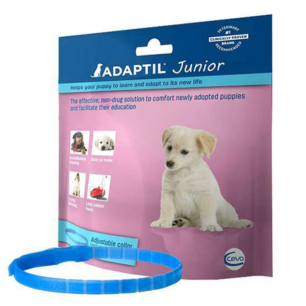 Adaptil Calm Collar Junior at Petremedies