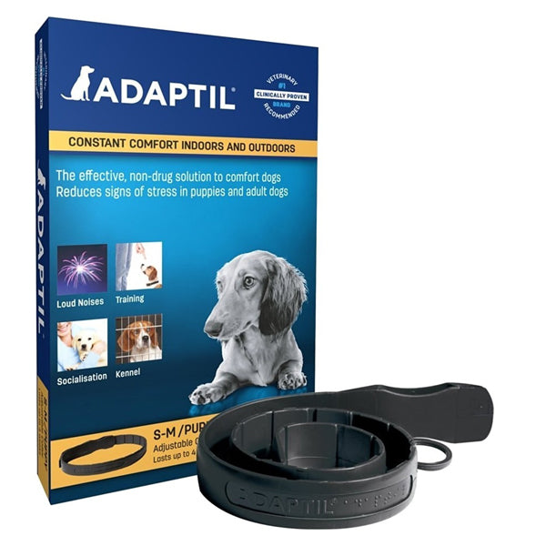 Adaptil Collar S-M Puppy at Petremedies