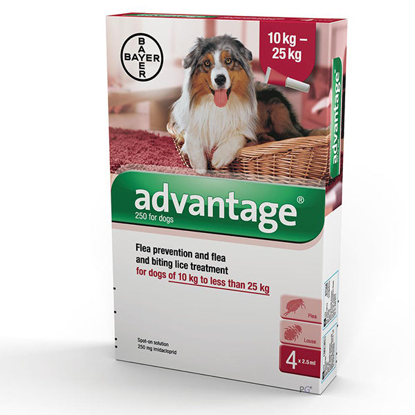 Advantage Dog 10 - 25kg at Petremedies