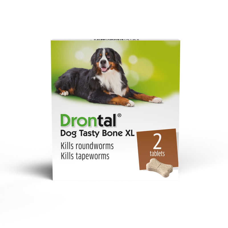 Drontal Plus XL Flavour Tabs (2tabs)