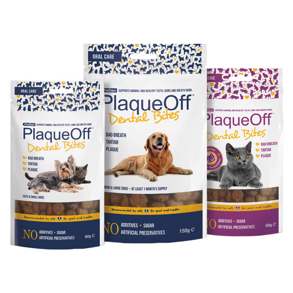 PlaqueOff Dental Bites at Petremedies