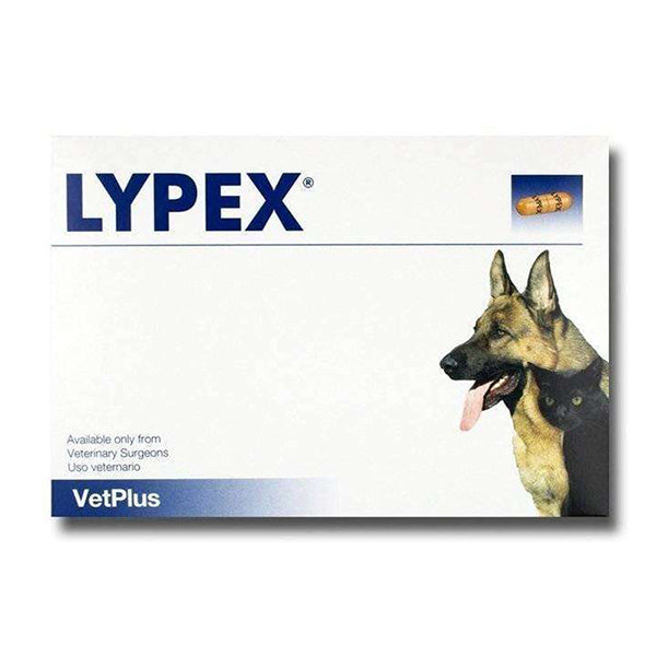 VetPlus Lypex Caps Blister (60pk)  Cats & Dogs at Petremedies