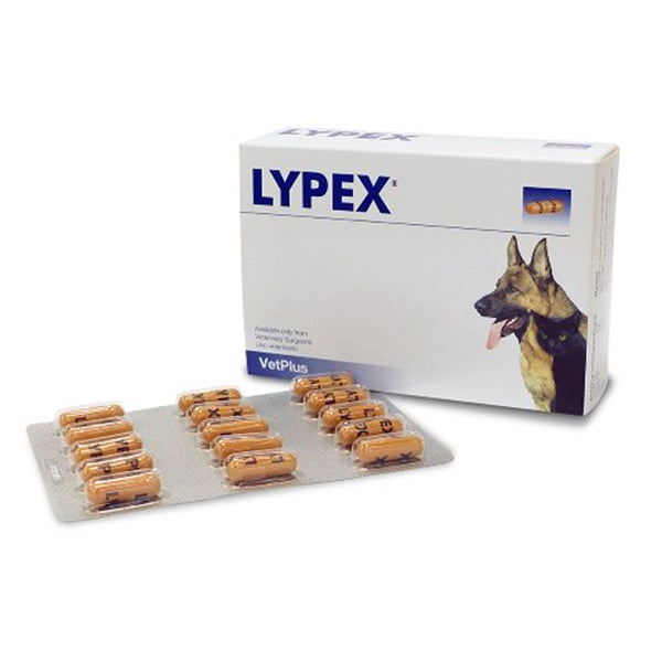 VetPlus Lypex Cats & Dogs at Petremedies